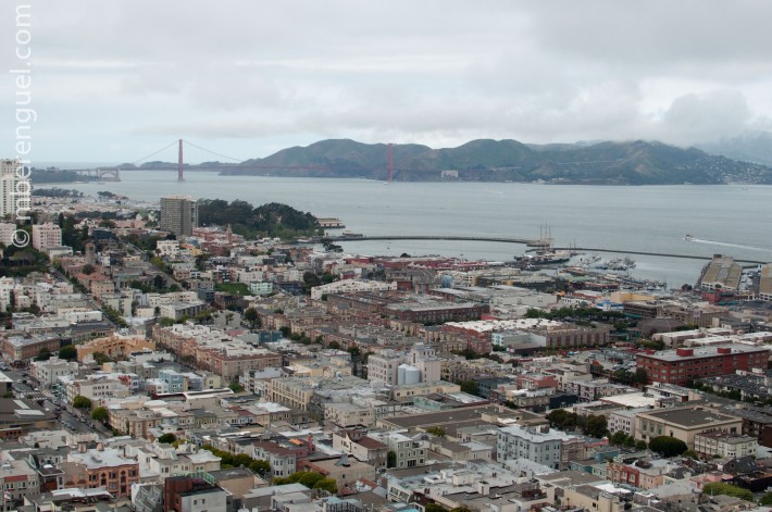 SF cityscape